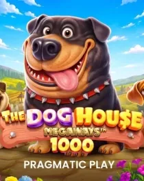The Dog House