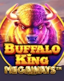 Buffalo King